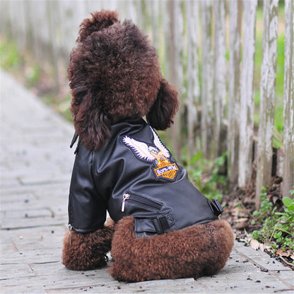 Dog coat